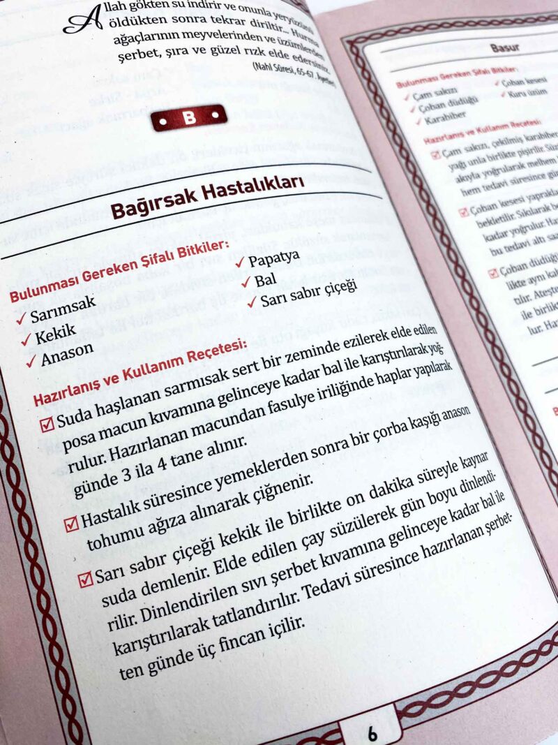 Şifalı Bitkiler Dergi Boy - Görsel 2